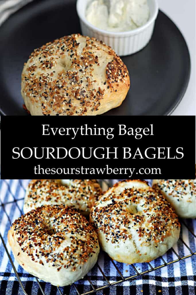 handmade sourdough bagels with Everything Bagel spices on top