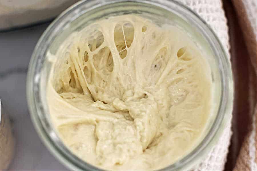 open jar of low hydration sourdough bread starter